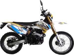 RC300-GY8A-Enduro-300.thumb.jpg.66cc5d365c951a3d1fcfad59c83d9d94.jpg